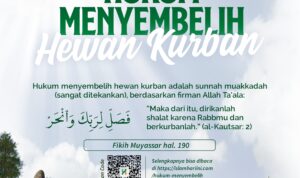 Hukum Menyembelih Hewan Kurban