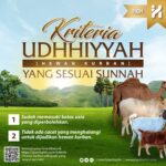 Kriteria Hewan Kurban