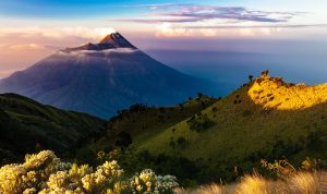 Hukum Menggundul Rambut Bayi Perempuan Saat Aqiqah