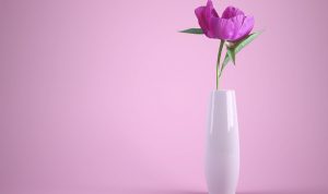 Hukum Seputar Hari Valentine