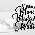Perbedaan Mani, Madzi dan Wadi