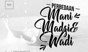 Perbedaan Mani, Madzi dan Wadi