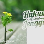 Benarkah Memotong Jenggot Haram Benarkah Memotong Jenggot Haram?