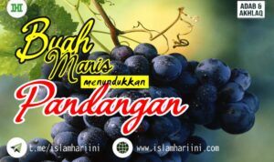 Buah Manis Menundukkan Pandangan Buah Manis Menundukkan Pandangan